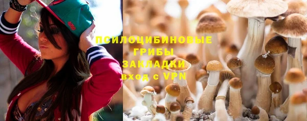 spice Армянск